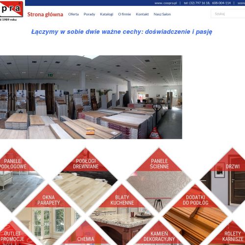 Drzwi porta w Będzinie