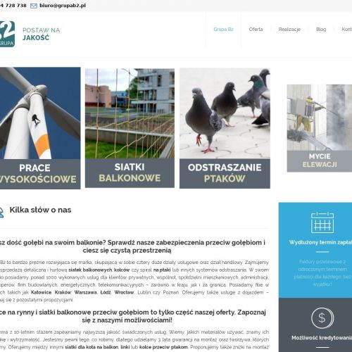 Montaż siatki przeciw ptakom