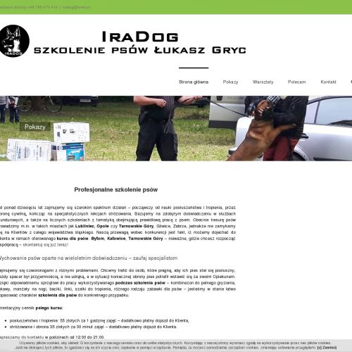 Bytom - kurs dla psów