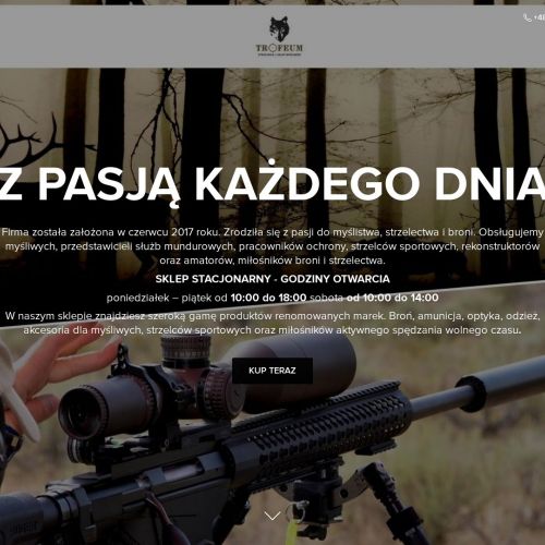 Lunety do broni w Malborku