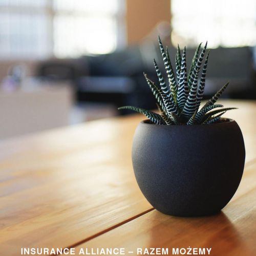 Licencja multiagenta ubezpieczeniowego