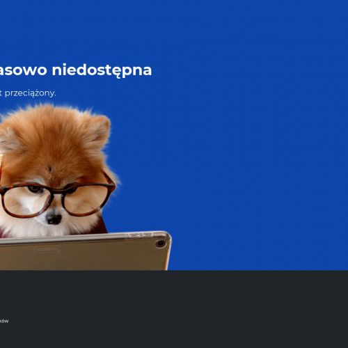 Dezynsekcja deratyzacja w Warszawie