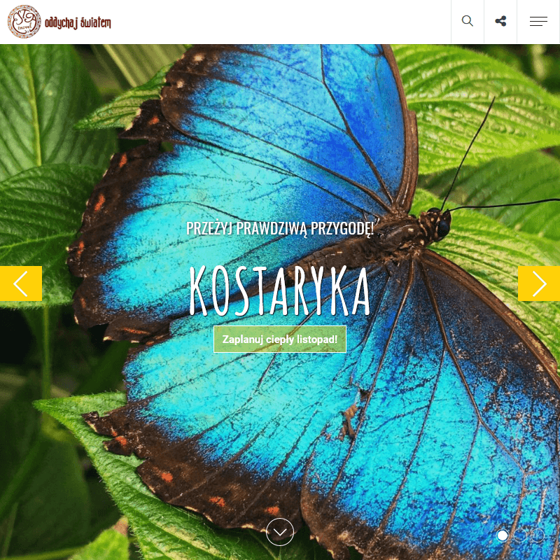 Poznań - bezpieczne kraje w afryce