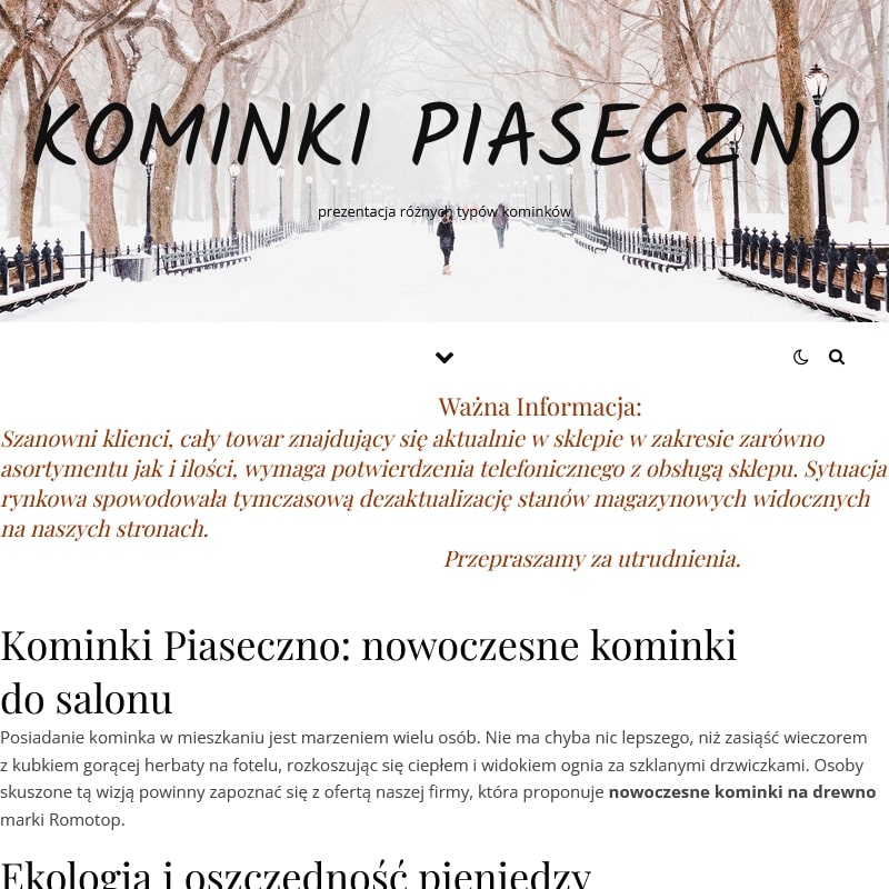 Wkład kominkowy z podnoszoną szybą