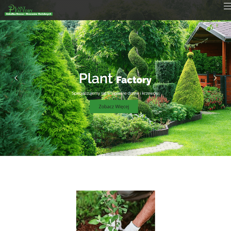 Szkółka drzew Grójec