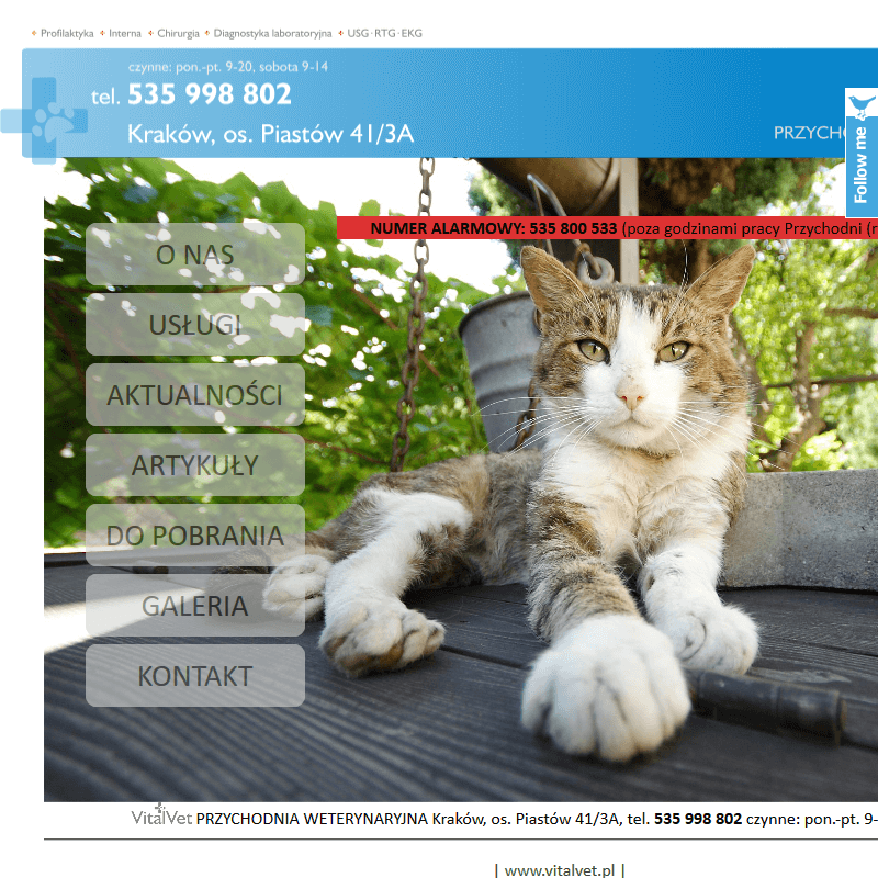 Przychodnia weterynaryjna w Skawinie